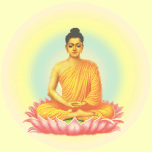 Namo Tassa Bhagavato Arahatto Samma Sambuddhassa!