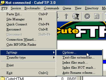 cute_FTP1.jpg (19674 bytes)
