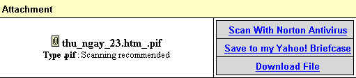 virus3.jpg (11107 bytes)